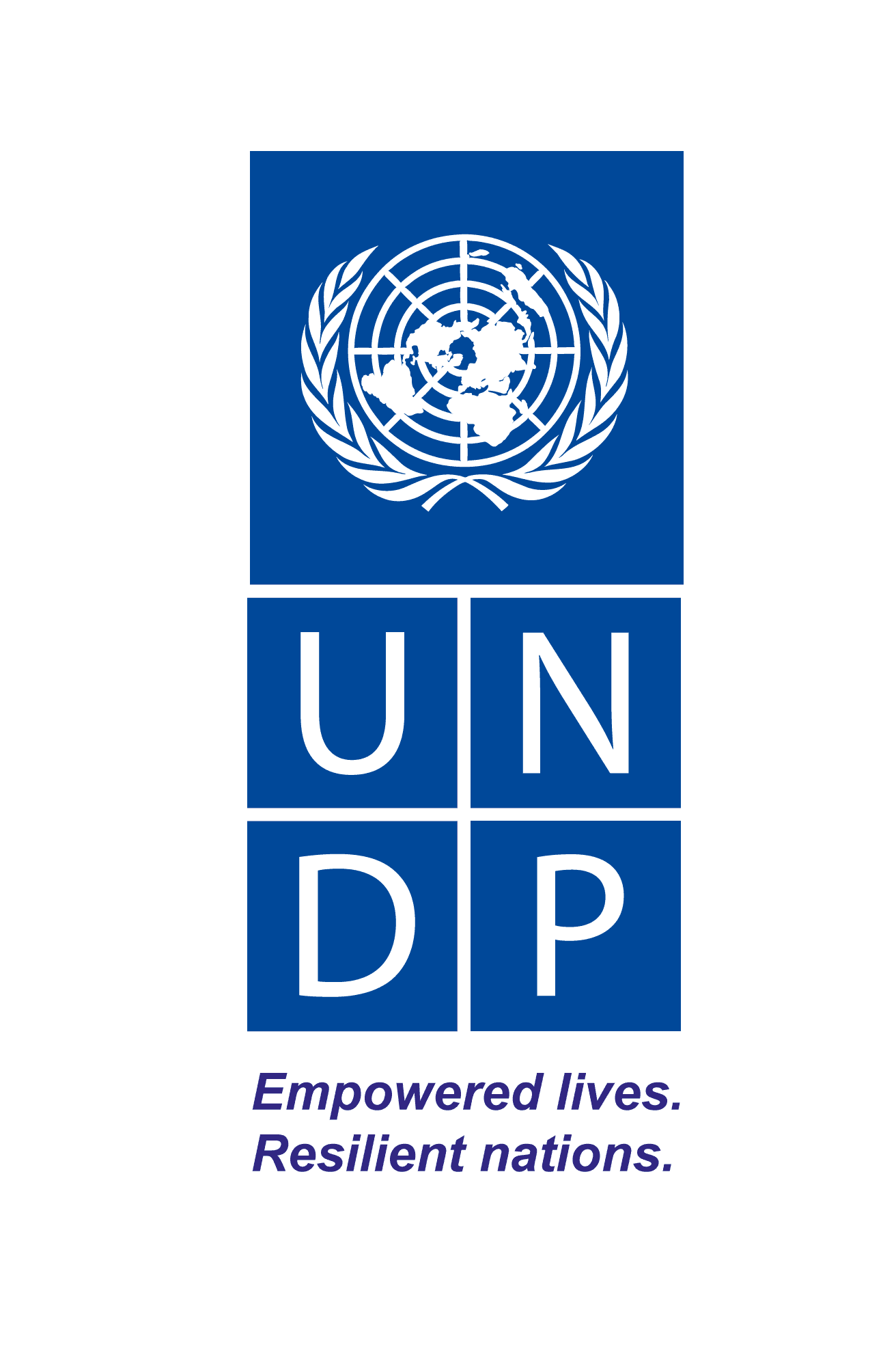 The United Nations Development Programme (UNDP)